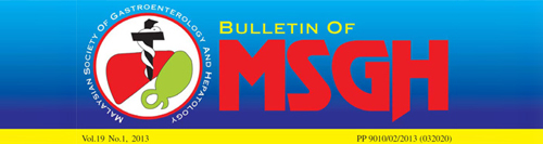 Bulletin MSGH vol. 19 No.1, 2013